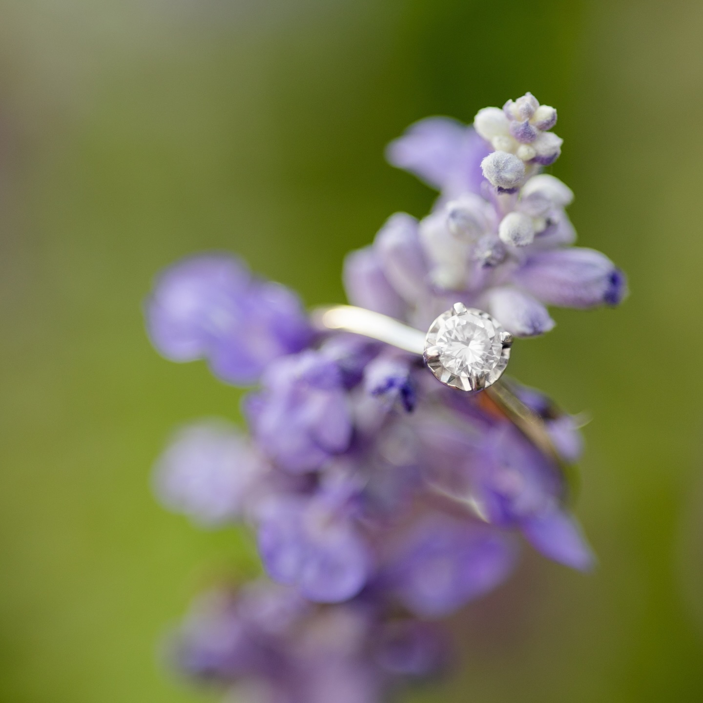 One of my favorite moments of the wedding day is the quiet at the beginning, when the details are laid out, the room is calm, and the story hasn’t started yet. While hair and makeup are finished and the day slowly becomes real, there’s this gentle shift, she’s about to marry her best friend (!!)⁠
⁠
This is the excitement I hope they always remember 🩷⁠